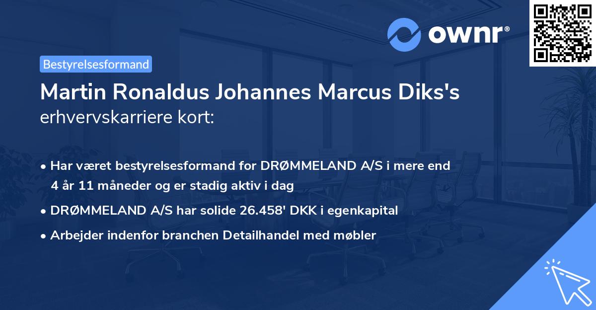 Martin Ronaldus Johannes Marcus Diks's erhvervskarriere kort