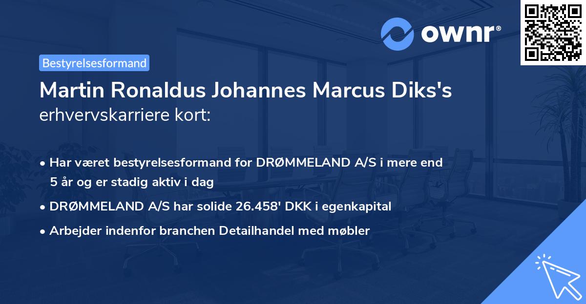 Martin Ronaldus Johannes Marcus Diks's erhvervskarriere kort