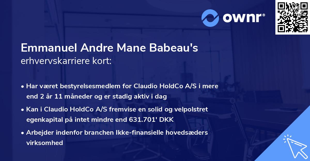 Emmanuel Andre Mane Babeau's erhvervskarriere kort