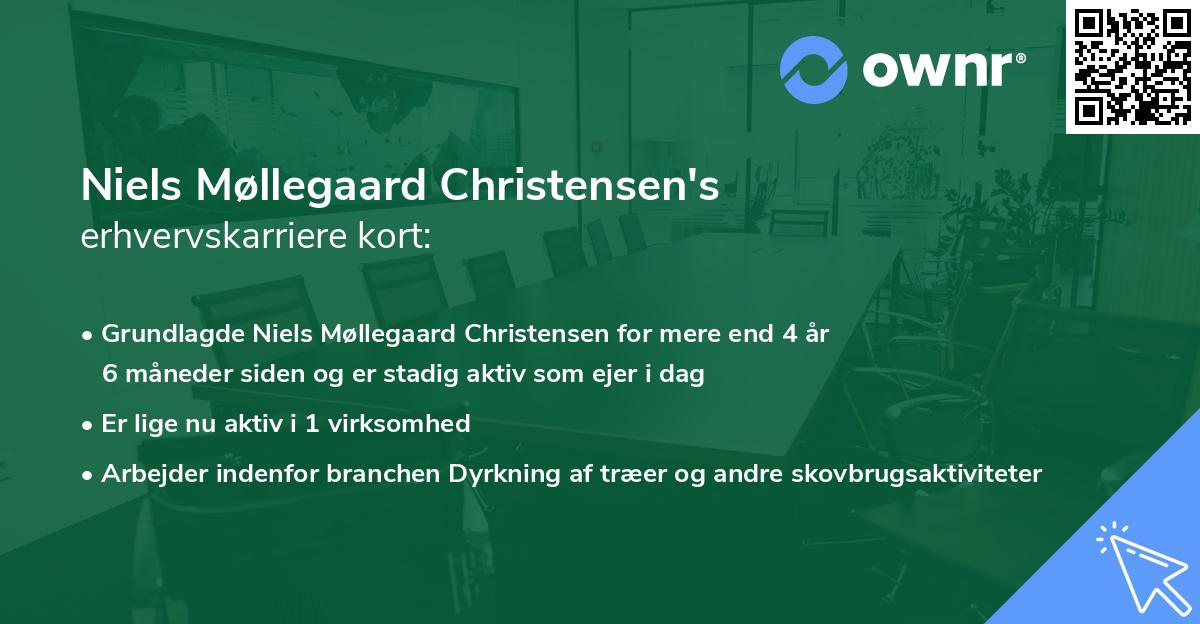 Niels Møllegaard Christensen's erhvervskarriere kort