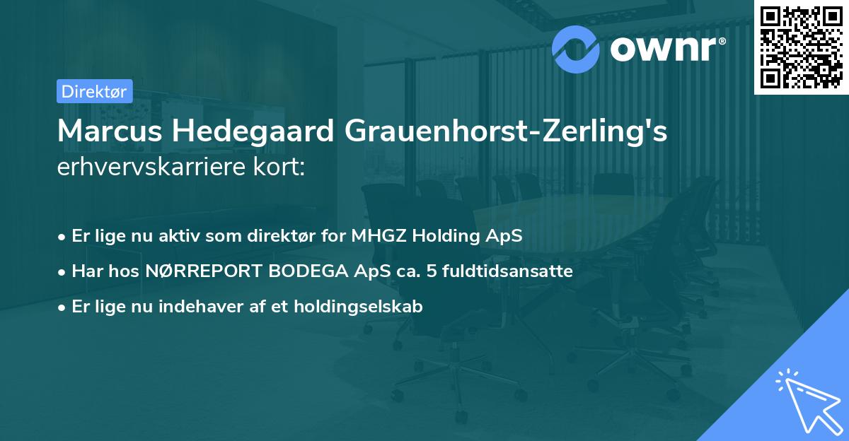 Marcus Hedegaard Grauenhorst-Zerling's erhvervskarriere kort