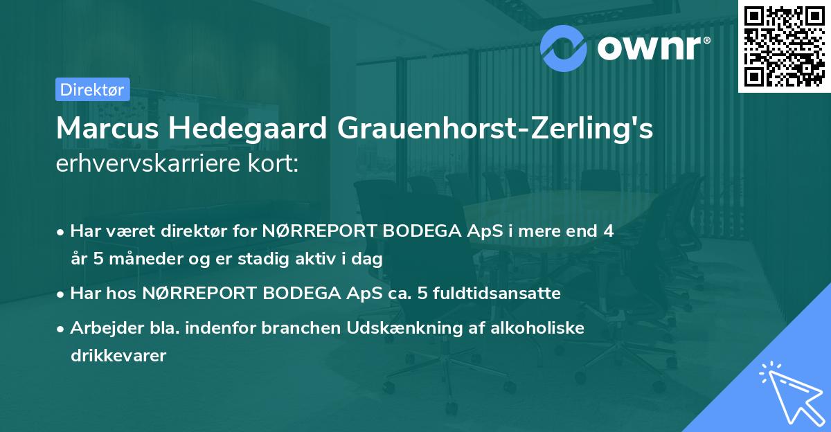 Marcus Hedegaard Grauenhorst-Zerling's erhvervskarriere kort