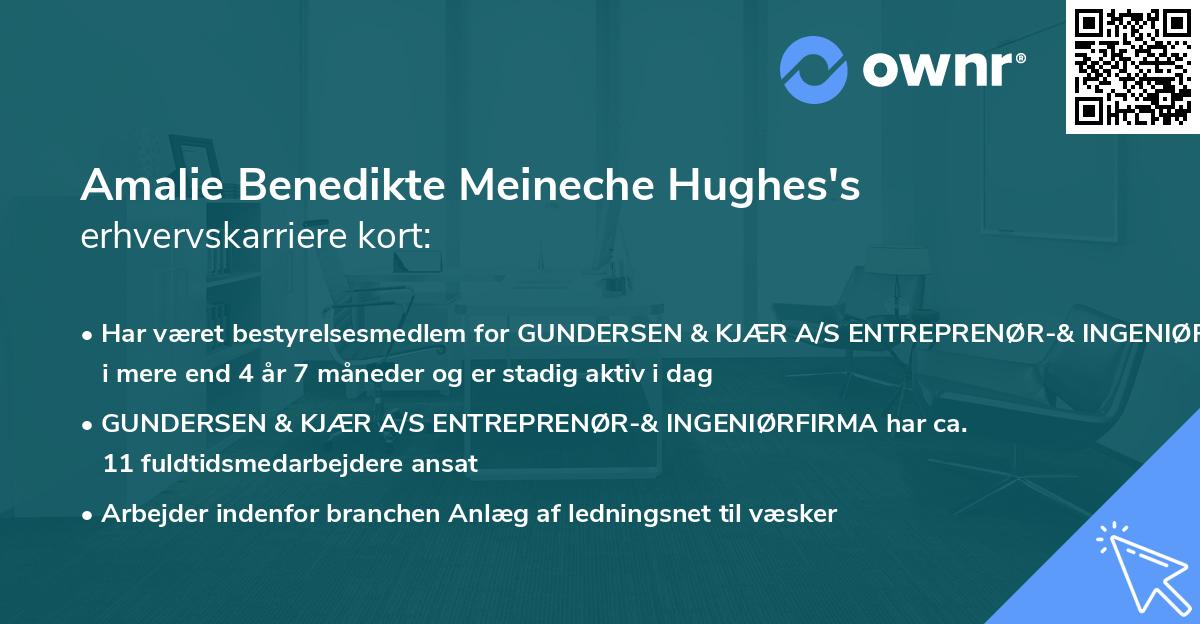 Amalie Benedikte Meineche Hughes's erhvervskarriere kort