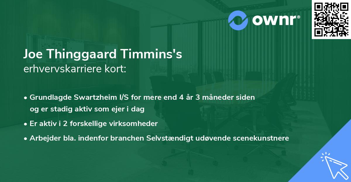 Joe Thinggaard Timmins's erhvervskarriere kort