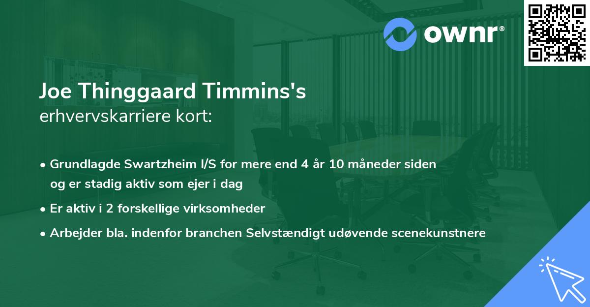 Joe Thinggaard Timmins's erhvervskarriere kort