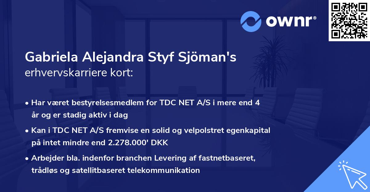 Gabriela Alejandra Styf Sjöman's erhvervskarriere kort