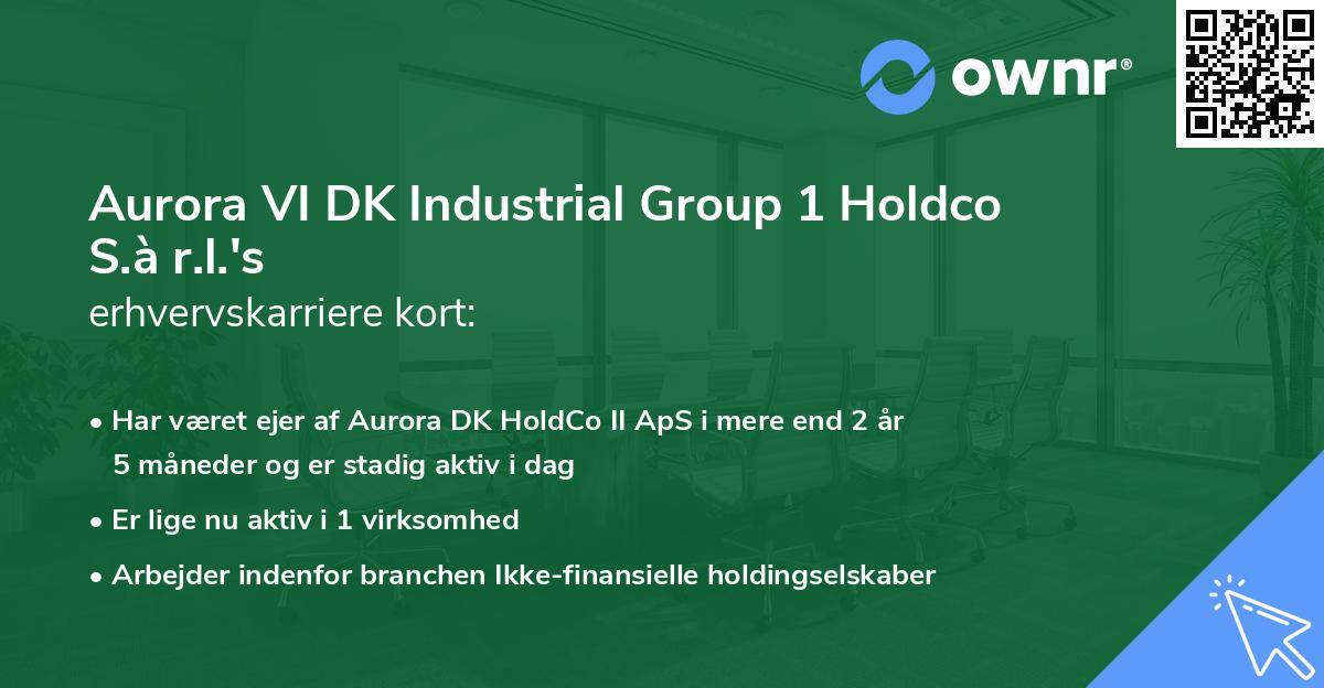 Aurora VI DK Industrial Group 1 Holdco S.à r.l.'s erhvervskarriere kort