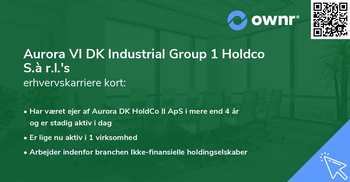 Aurora VI DK Industrial Group 1 Holdco S.à r.l.'s erhvervskarriere kort