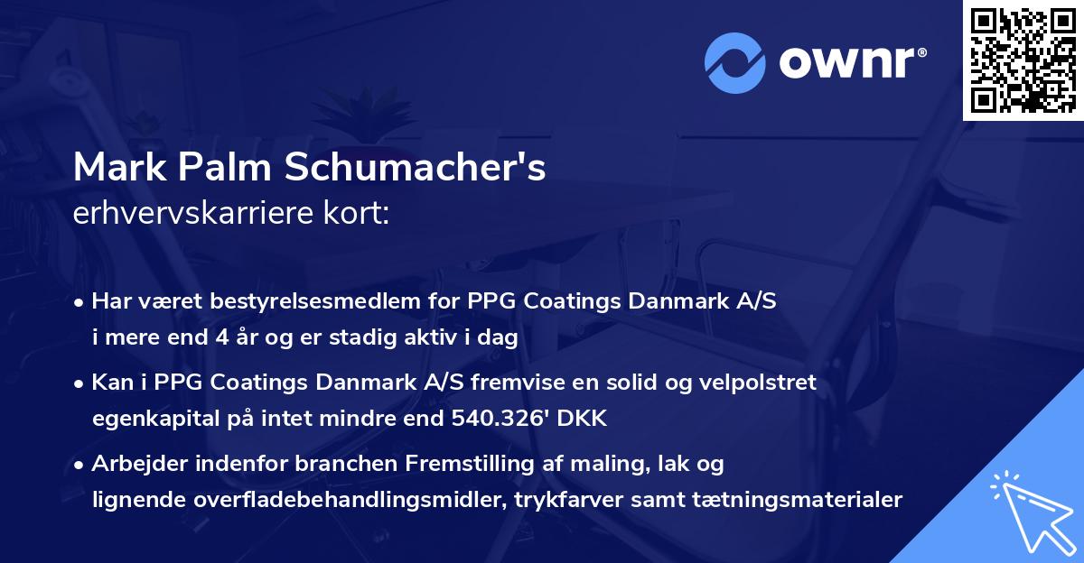 Mark Palm Schumacher's erhvervskarriere kort