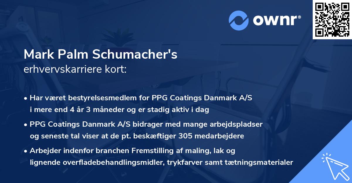 Mark Palm Schumacher's erhvervskarriere kort