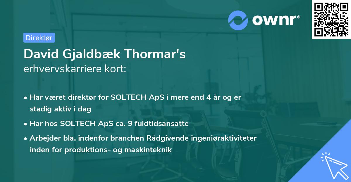 David Gjaldbæk Thormar's erhvervskarriere kort