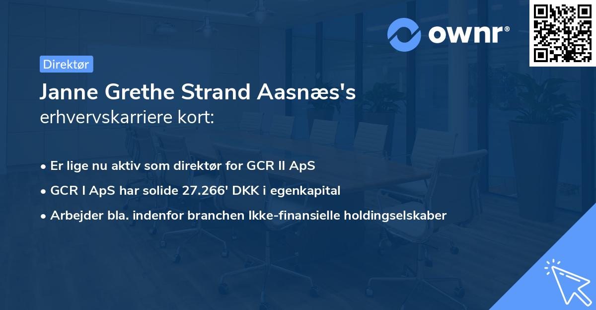 Janne Grethe Strand Aasnæs's erhvervskarriere kort