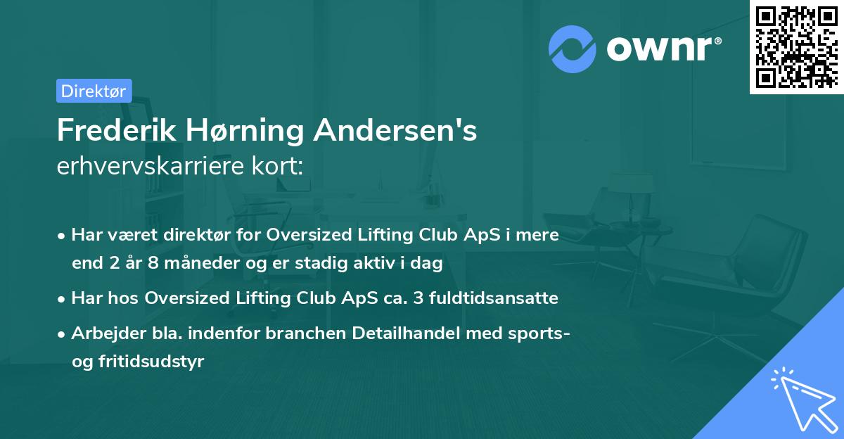 Frederik Hørning Andersen's erhvervskarriere kort