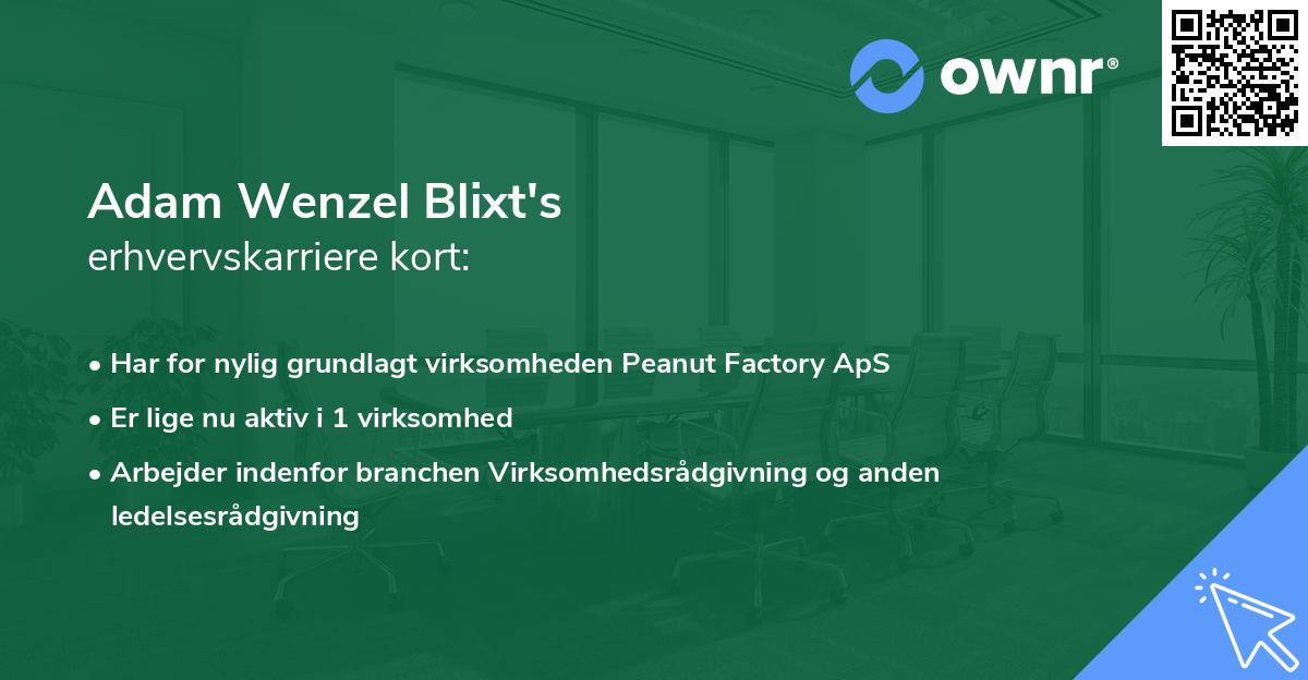 Adam Wenzel Blixt's erhvervskarriere kort