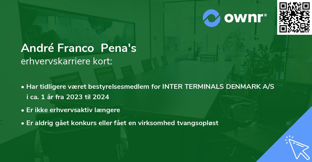 André Franco Pena's erhvervskarriere kort