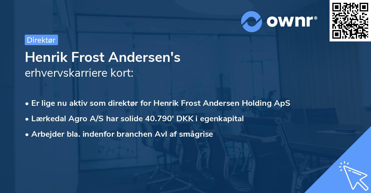 Henrik Frost Andersen's erhvervskarriere kort