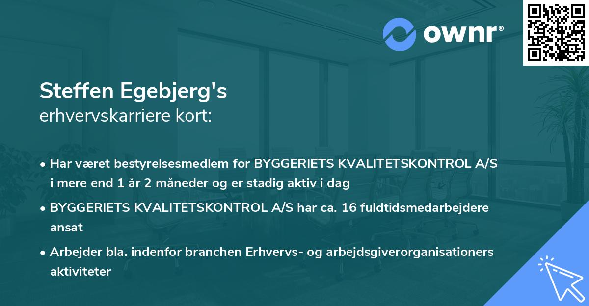 Steffen Egebjerg's erhvervskarriere kort