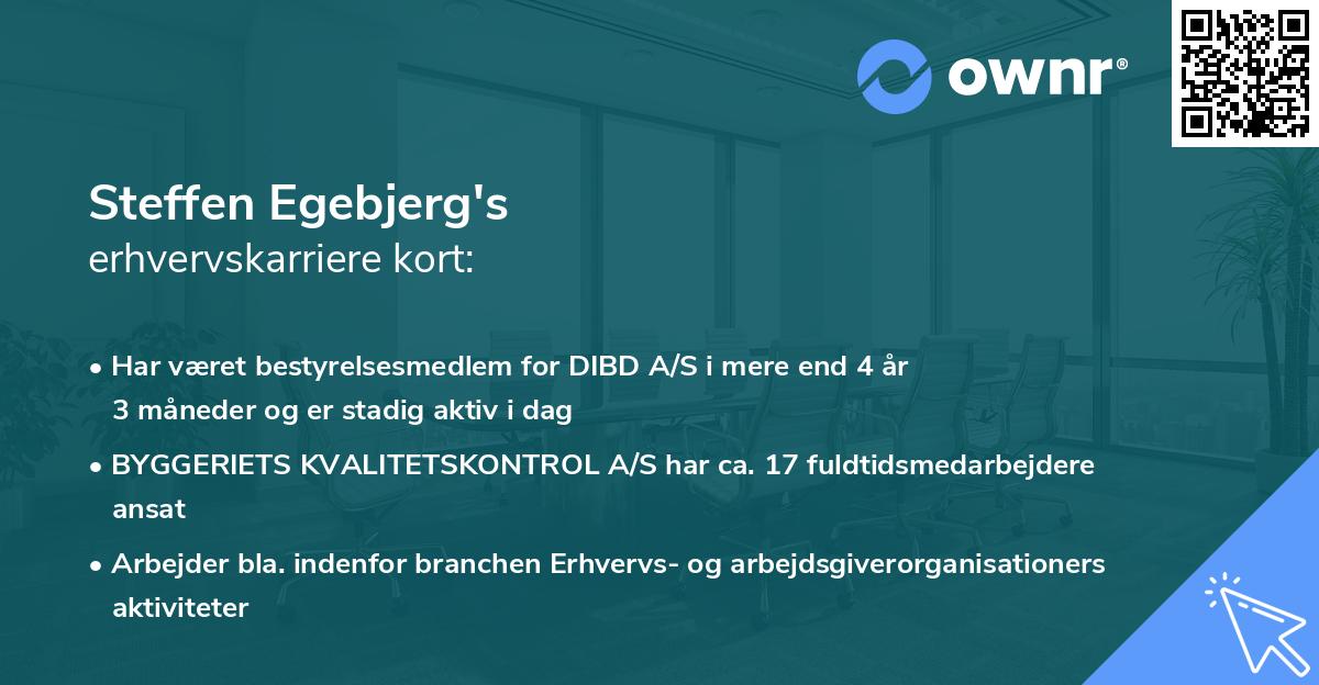 Steffen Egebjerg's erhvervskarriere kort