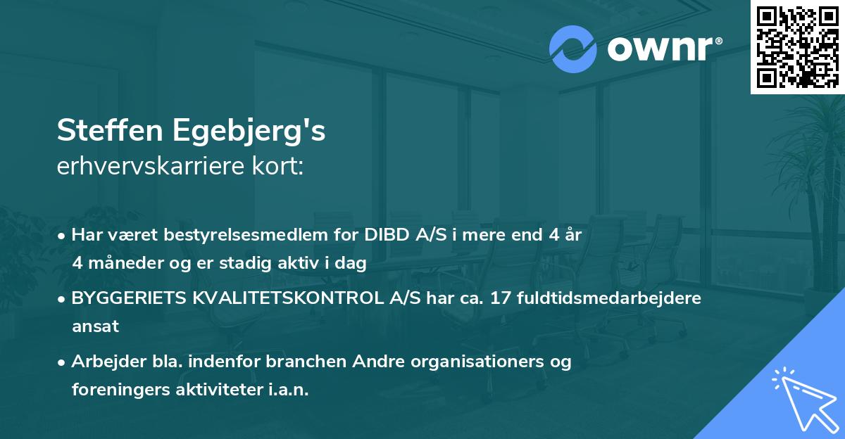 Steffen Egebjerg's erhvervskarriere kort