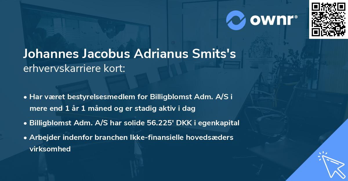 Johannes Jacobus Adrianus Smits's erhvervskarriere kort