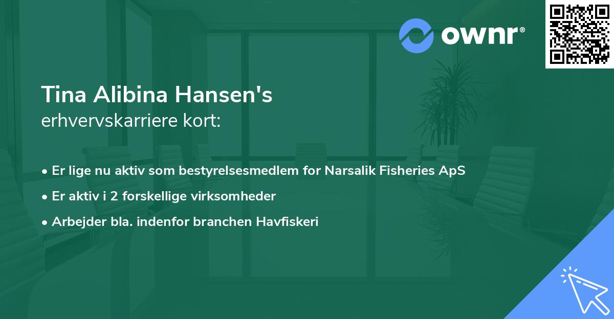 Tina Alibina Hansen's erhvervskarriere kort