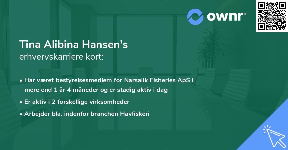 Tina Alibina Hansen's erhvervskarriere kort