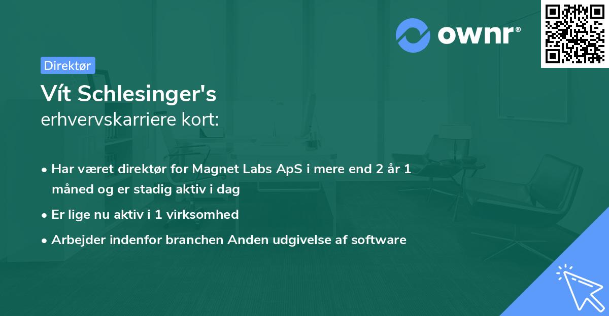 Vít Schlesinger's erhvervskarriere kort