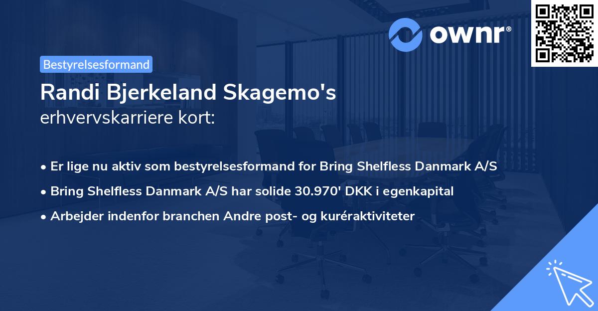 Randi Bjerkeland Skagemo's erhvervskarriere kort