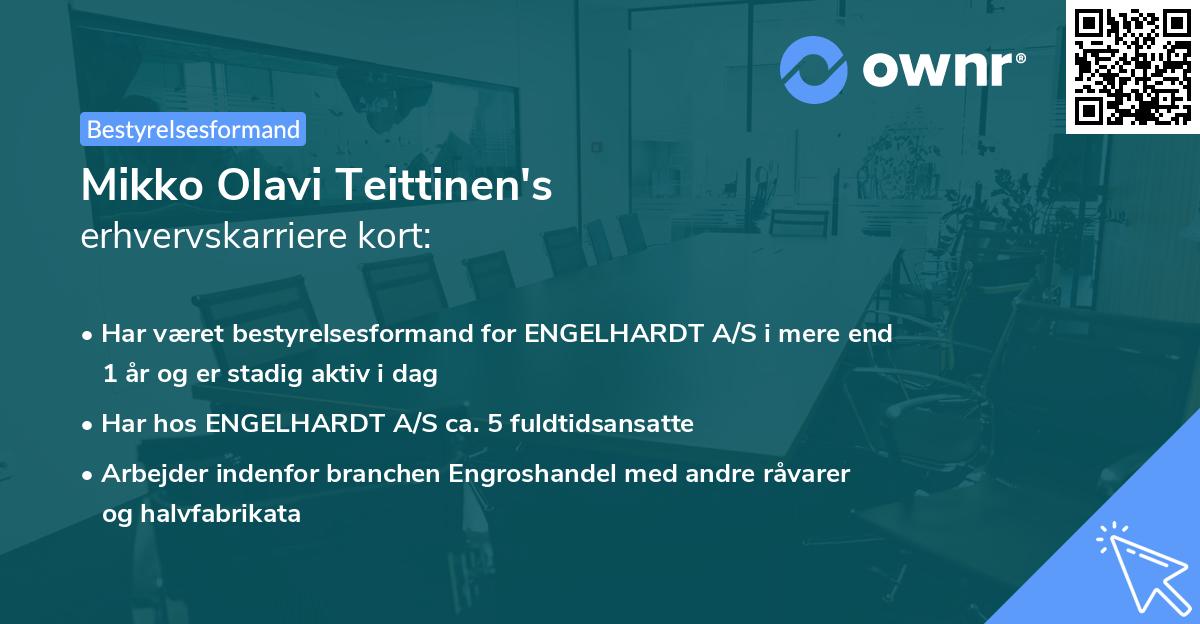 Mikko Olavi Teittinen's erhvervskarriere kort