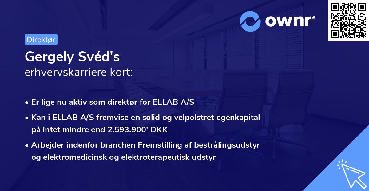 Gergely Svéd's erhvervskarriere kort