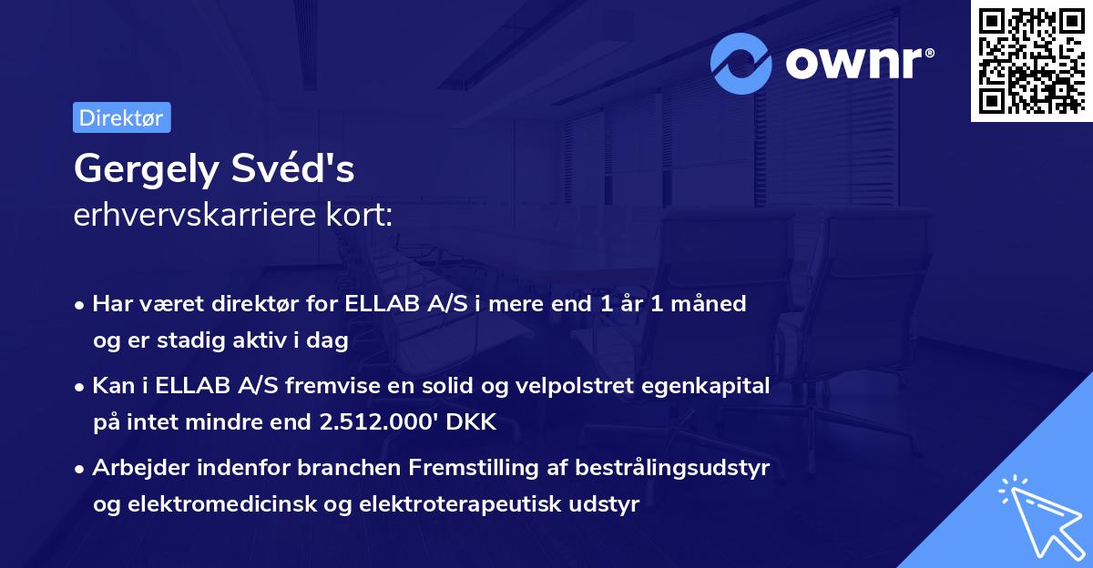 Gergely Svéd's erhvervskarriere kort