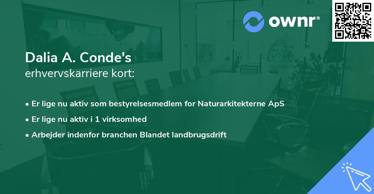 Dalia A. Conde's erhvervskarriere kort