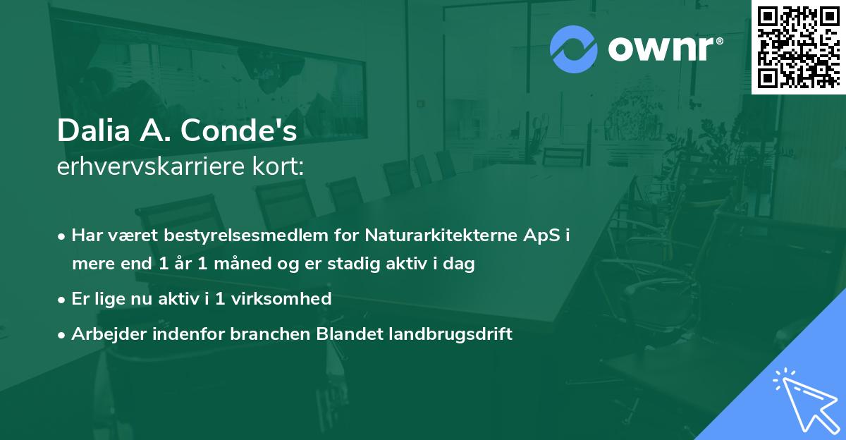 Dalia A. Conde's erhvervskarriere kort
