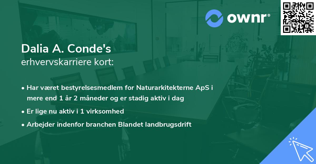 Dalia A. Conde's erhvervskarriere kort