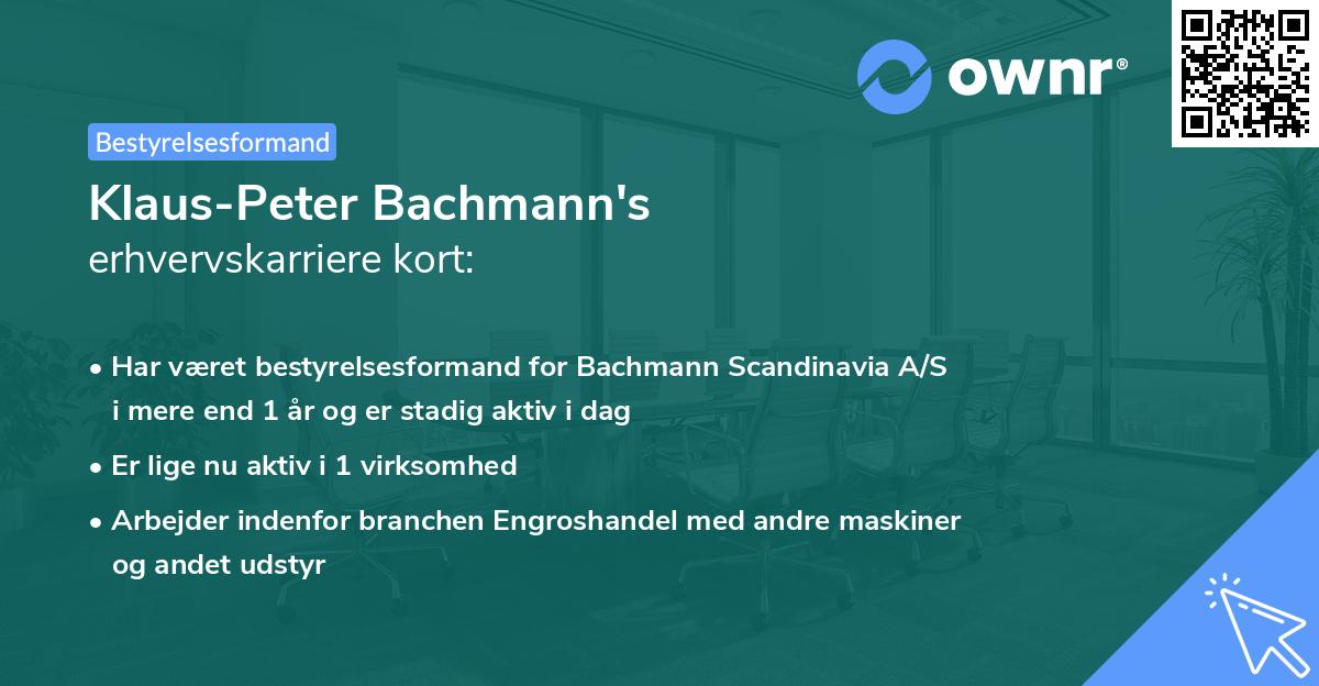 Klaus-Peter Bachmann's erhvervskarriere kort