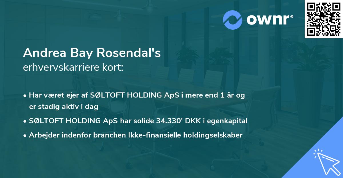 Andrea Bay Rosendal's erhvervskarriere kort