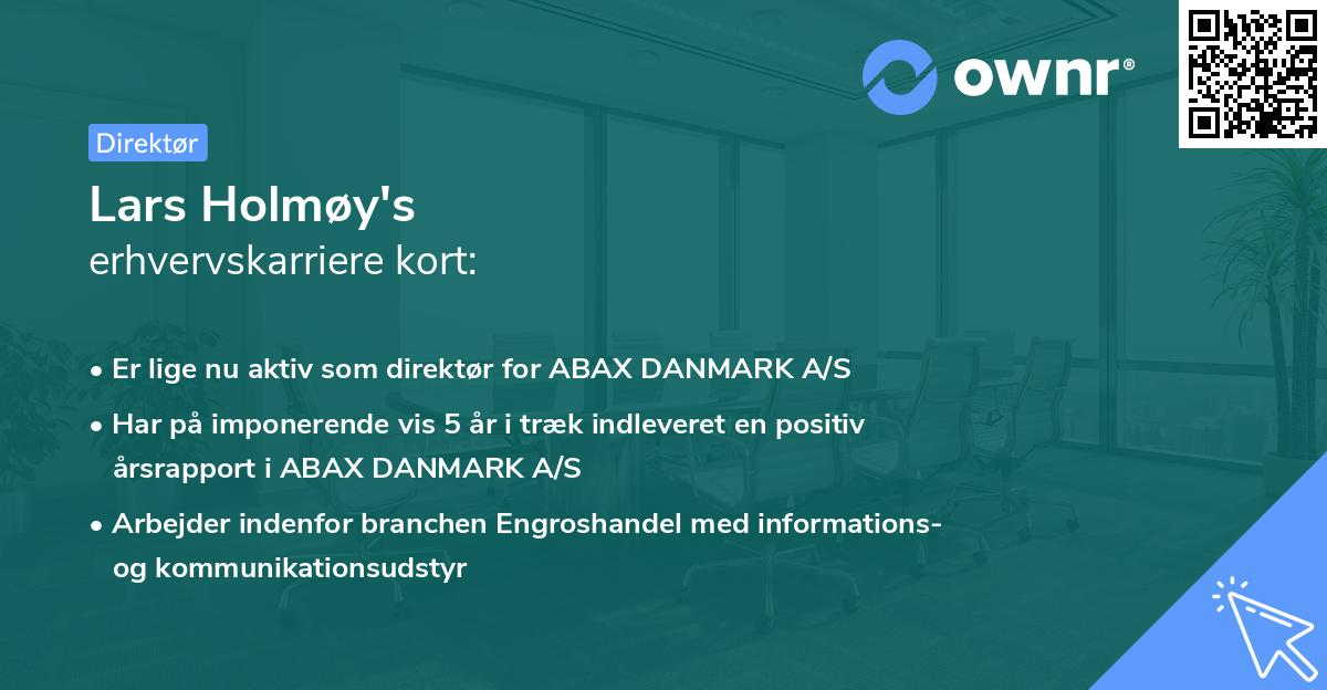 Lars Holmøy's erhvervskarriere kort