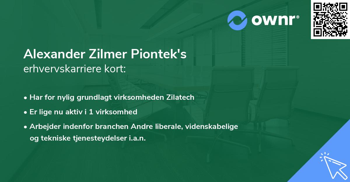 Alexander Zilmer Piontek's erhvervskarriere kort