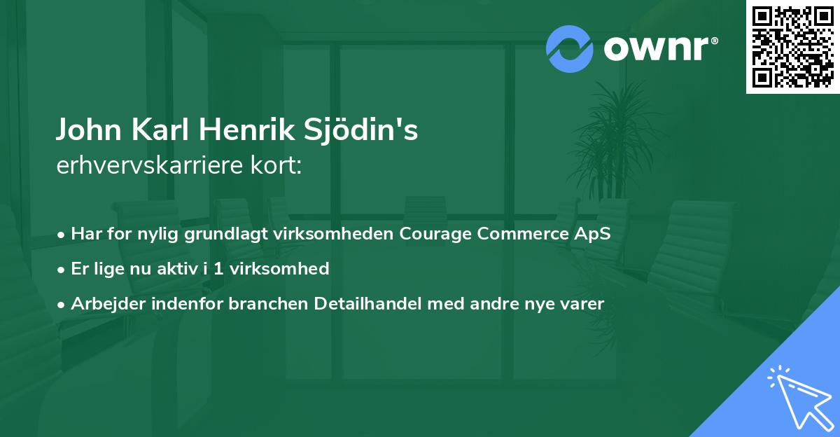 John Karl Henrik Sjödin's erhvervskarriere kort