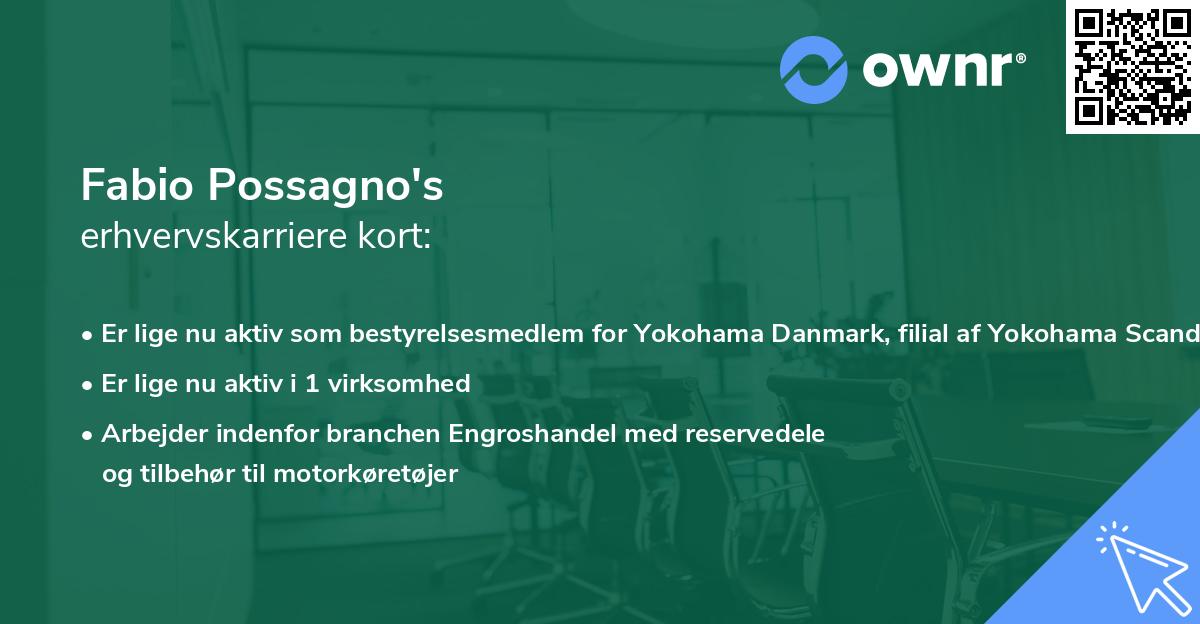 Fabio Possagno's erhvervskarriere kort