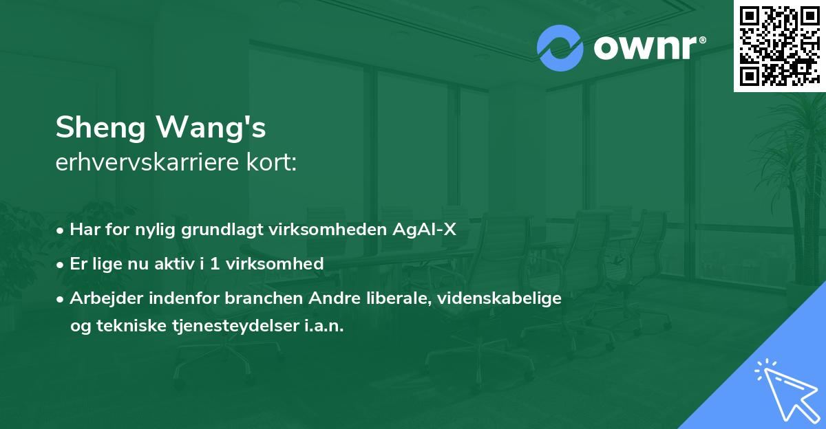 Sheng Wang's erhvervskarriere kort