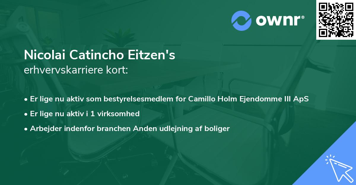 Nicolai Catincho Eitzen's erhvervskarriere kort