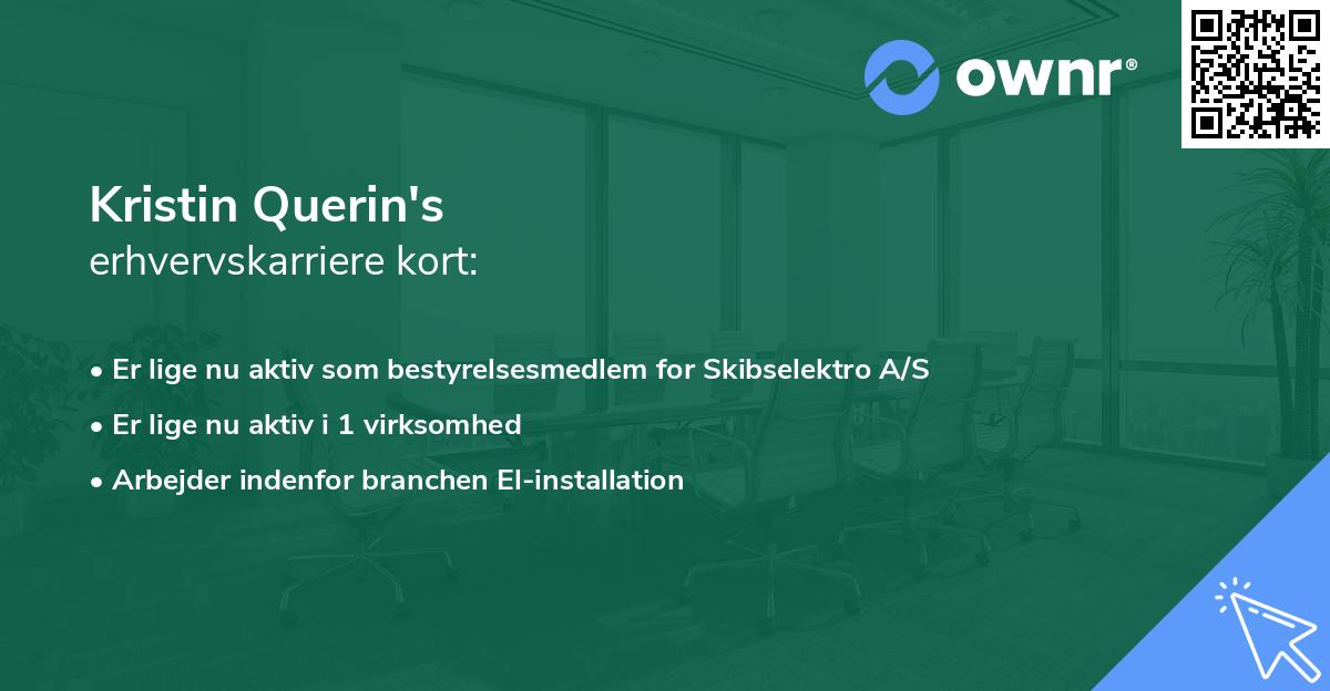 Kristin Querin's erhvervskarriere kort