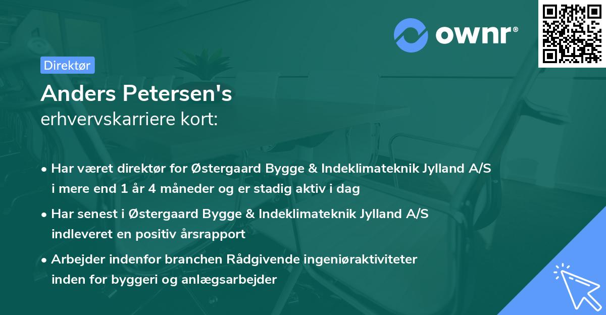 Anders Petersen's erhvervskarriere kort