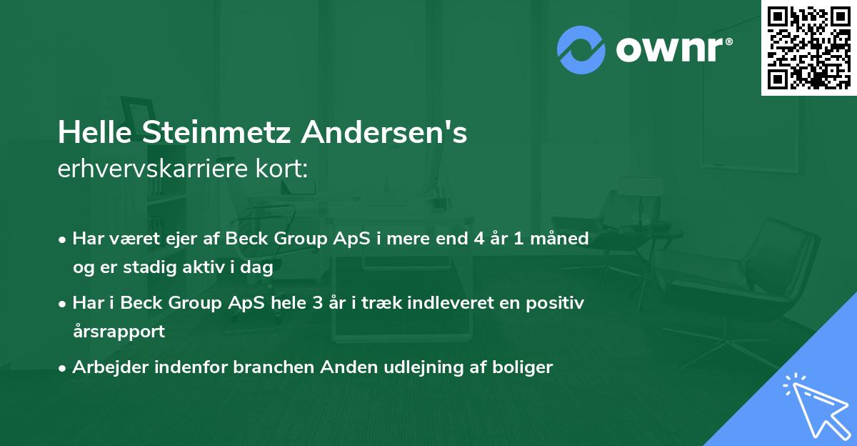 Helle Steinmetz Andersen's erhvervskarriere kort