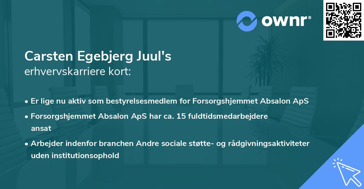 Carsten Egebjerg Juul's erhvervskarriere kort