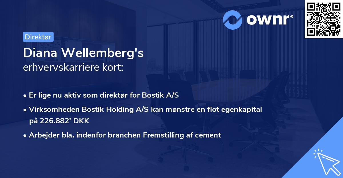Diana Wellemberg's erhvervskarriere kort