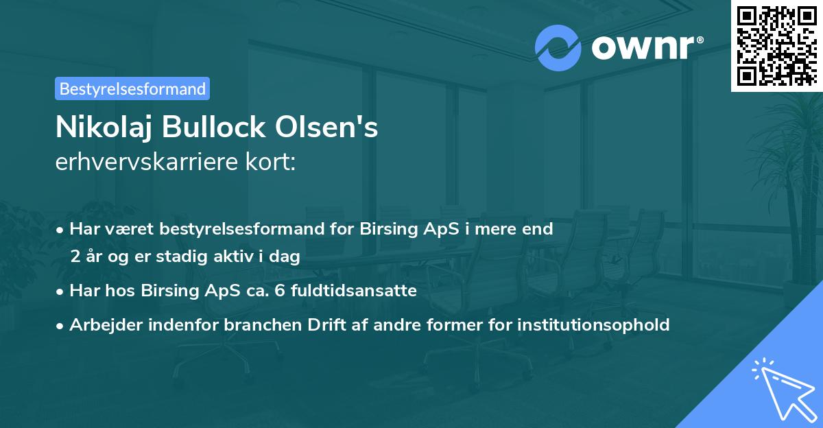 Nikolaj Bullock Olsen's erhvervskarriere kort