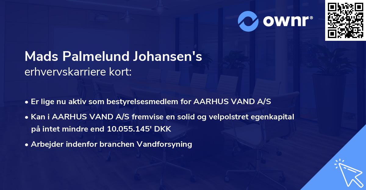 Mads Palmelund Johansen's erhvervskarriere kort