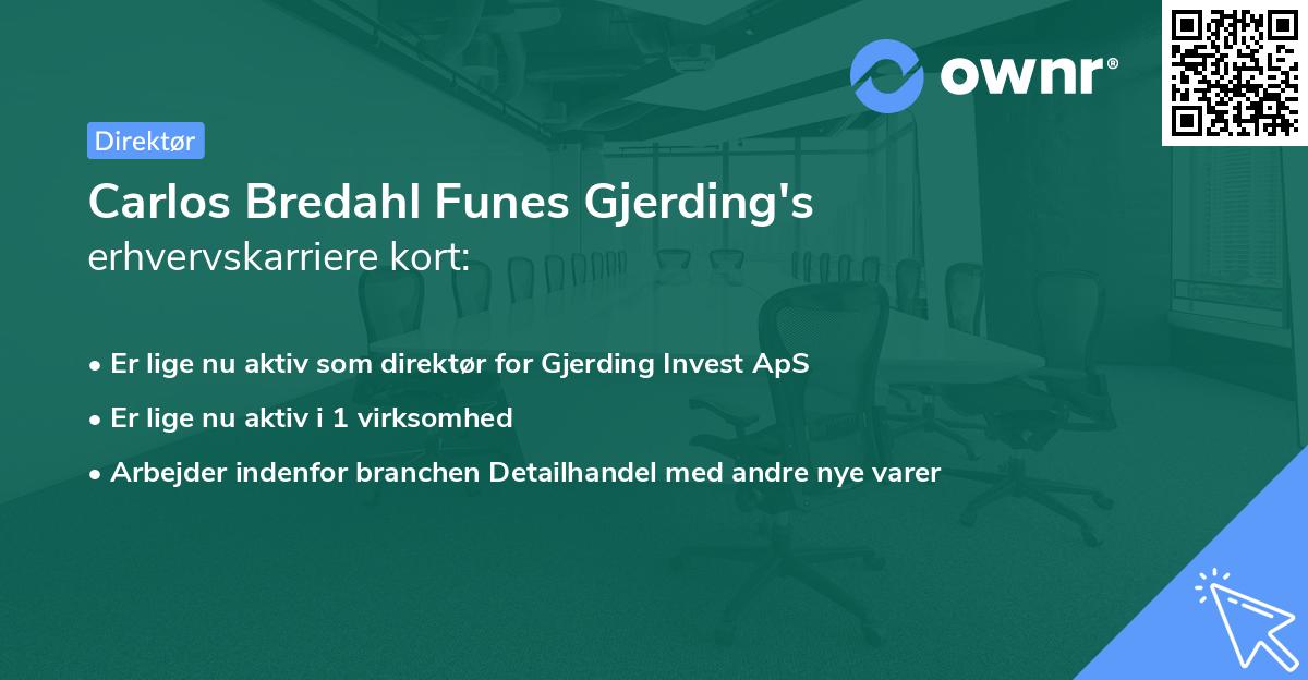 Carlos Bredahl Funes Gjerding's erhvervskarriere kort